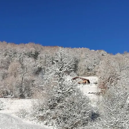 La Dimora Degli Angeli شقة Moggio (Lecco)